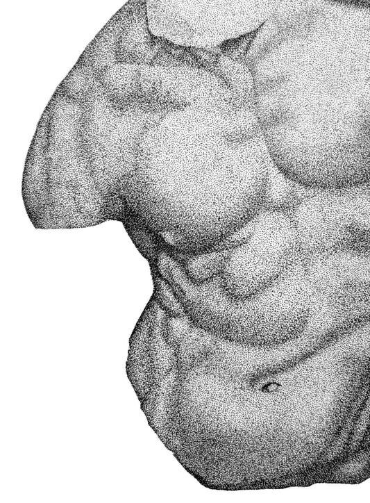 The Human Form